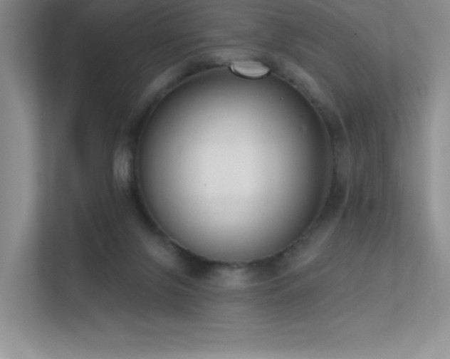 X0000112390071200908131557