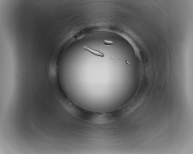 X0000112390072200908131557