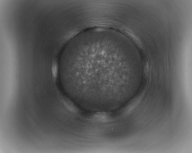 X0000112390076200908131557