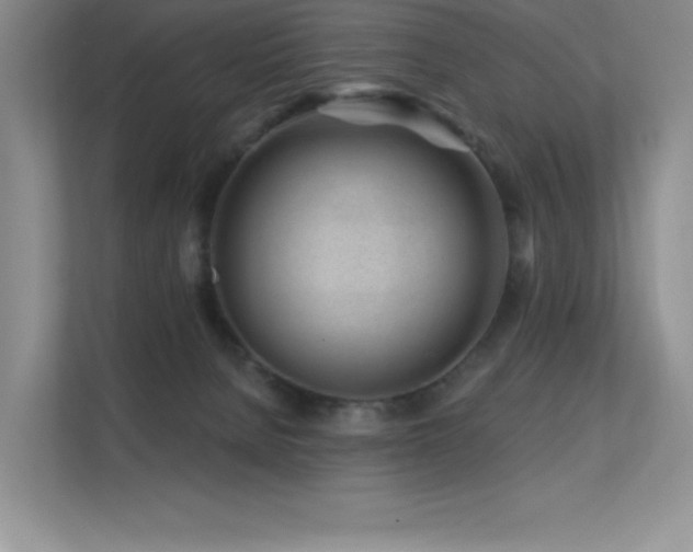 X0000112390080200908131557