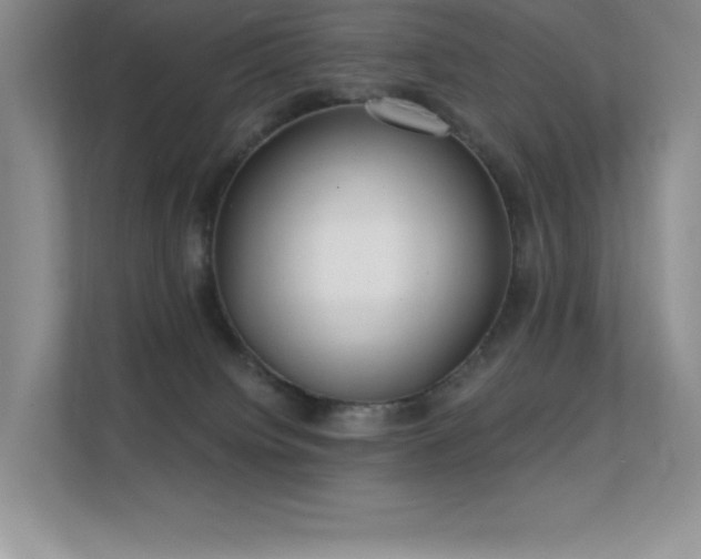 X0000112390084200908131557