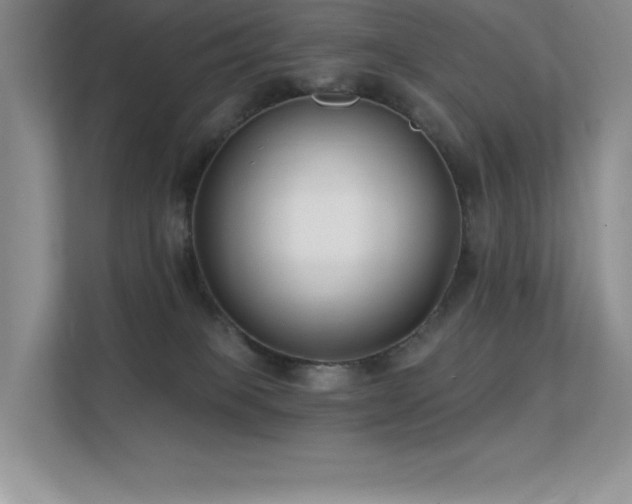 X0000112390085200908131557