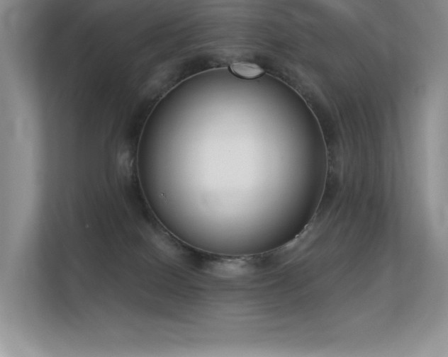 X0000112390086200908131557