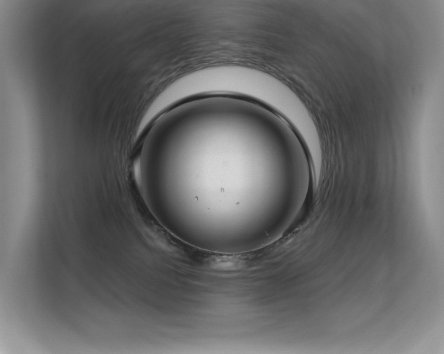 X0000112390088200908131557