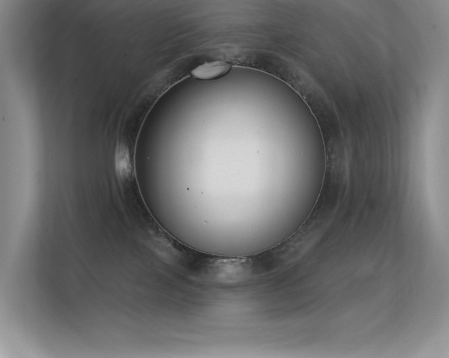 X0000112390089200908131557