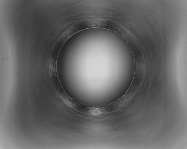 X0000112390091200908131557