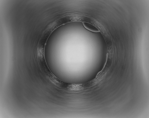 X0000112390093200908131557