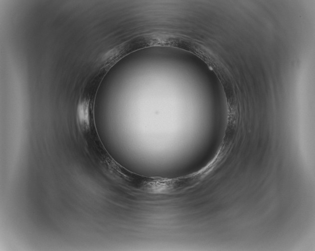 X0000112390094200908131557