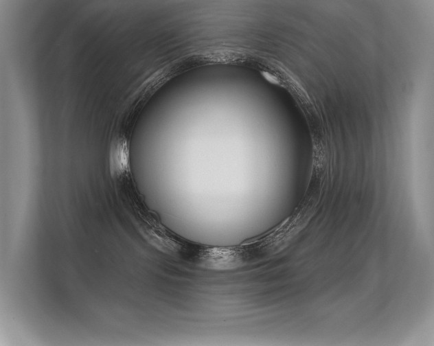 X0000112390095200908131557