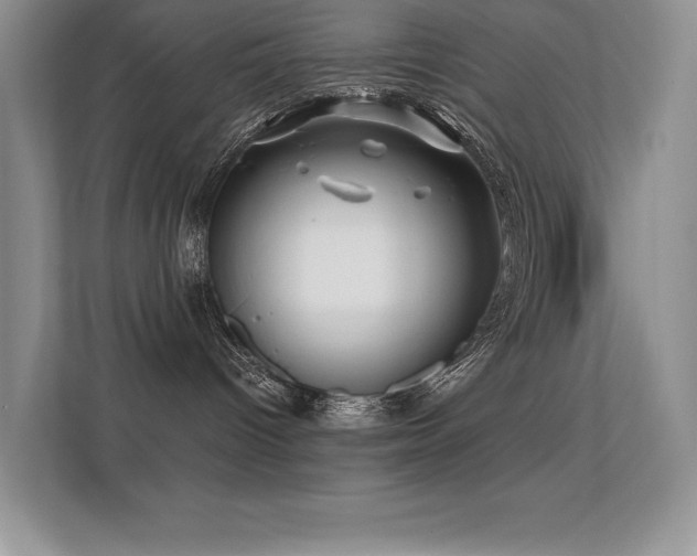 X0000112390096200908131557