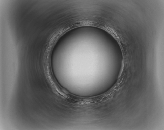 X0000112390097200908131557