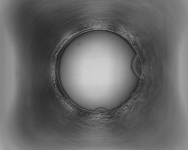 X0000112390098200908131557