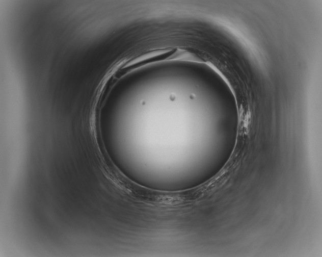 X0000112390099200908131557