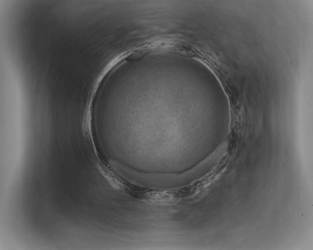 X0000112390100200908131557