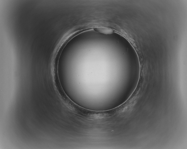 X0000112390103200908131557