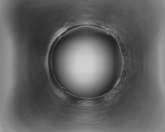 X0000112390104200908131557