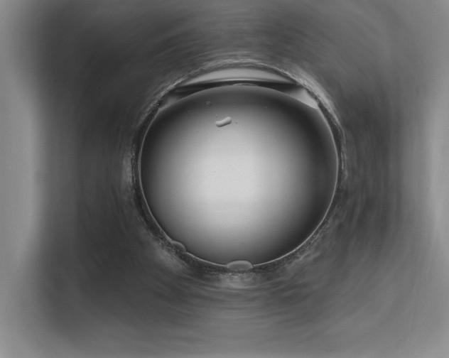 X0000112390105200908131557