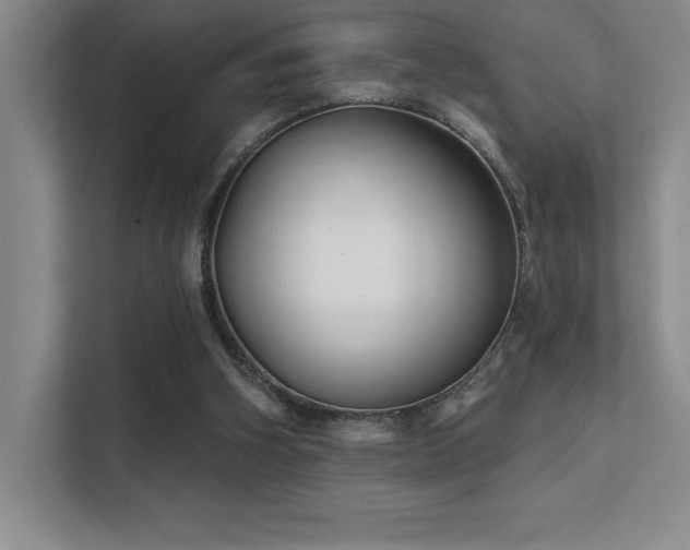 X0000112390106200908131557