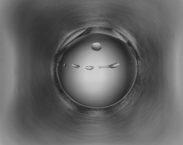 X0000112390107200908131557