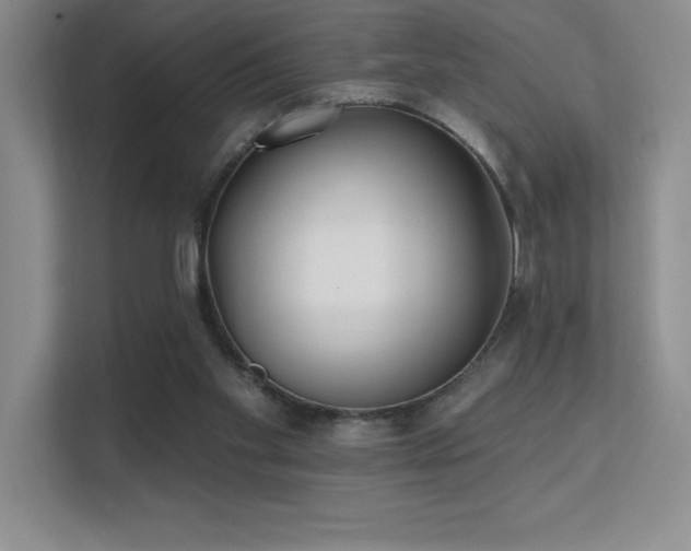 X0000112390109200908131557