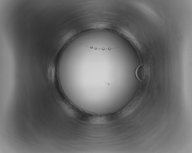 X0000112390110200908131557