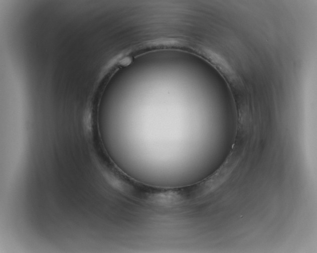 X0000112390112200908131557