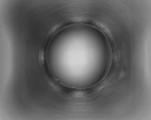 X0000112390115200908131557