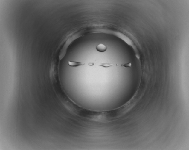 X0000112390116200908131557