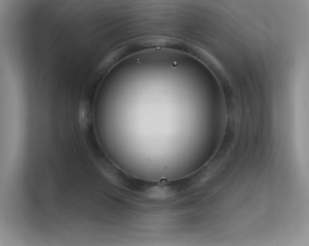 X0000112390119200908131557