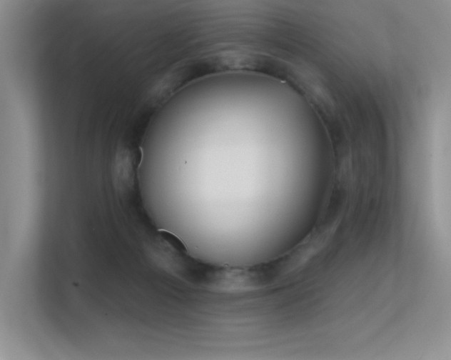 X0000112390121200908131557