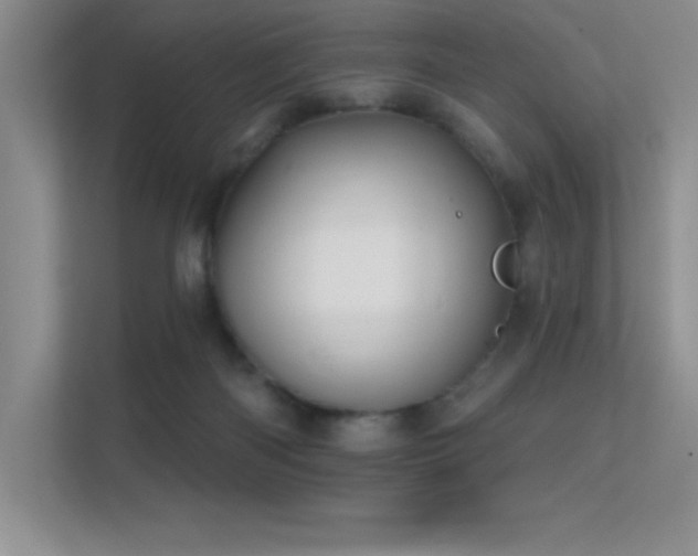 X0000112390122200908131557