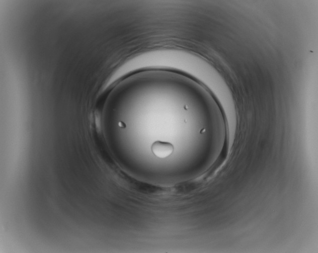 X0000112390124200908131557