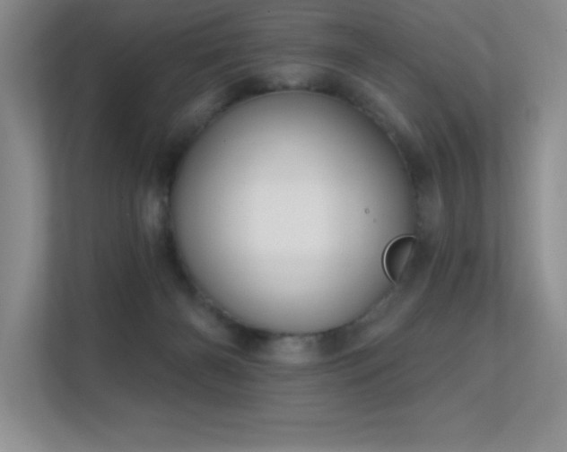 X0000112390126200908131556