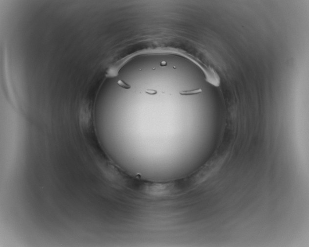 X0000112390129200908131556