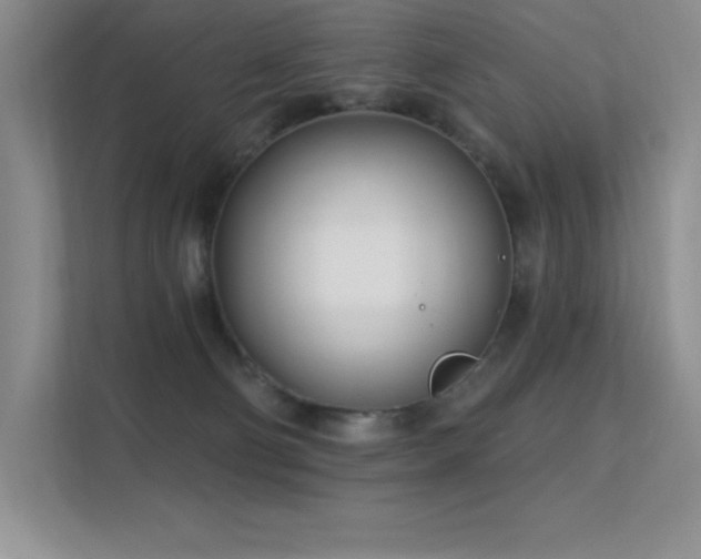 X0000112390130200908131556