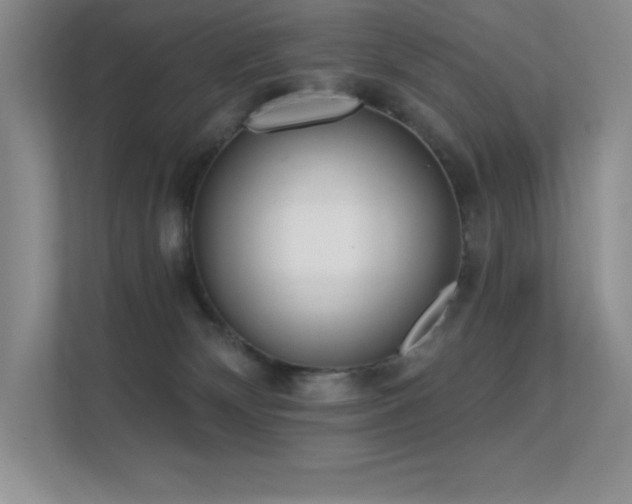 X0000112390132200908131556