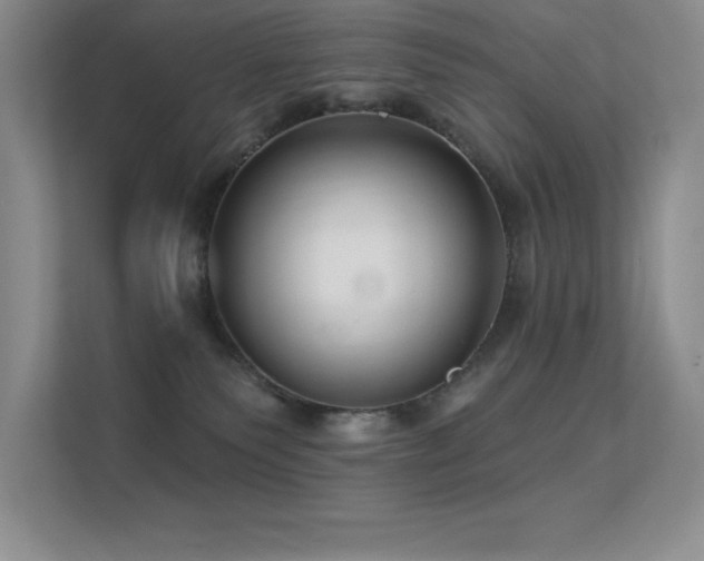 X0000112390135200908131556