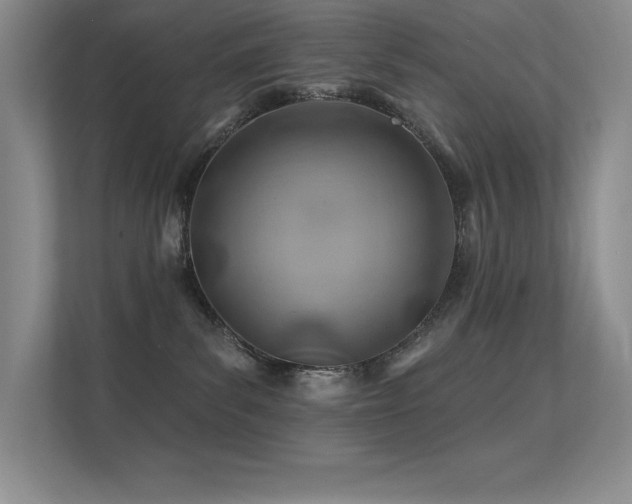 X0000112390139200908131556