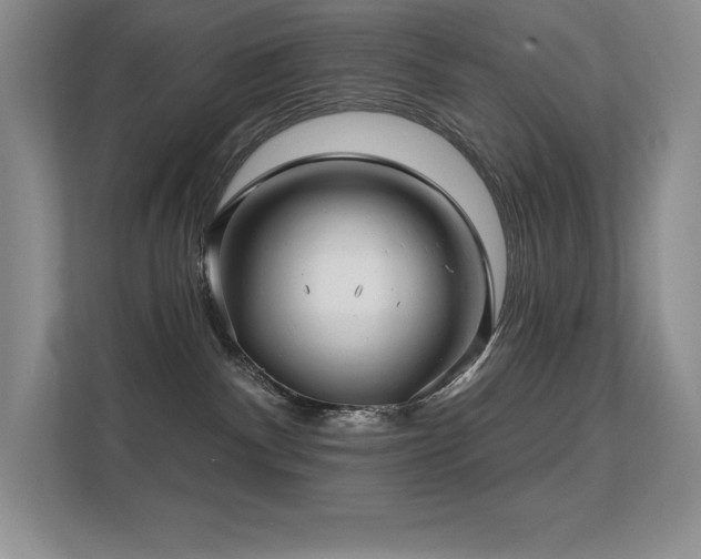 X0000112390140200908131556