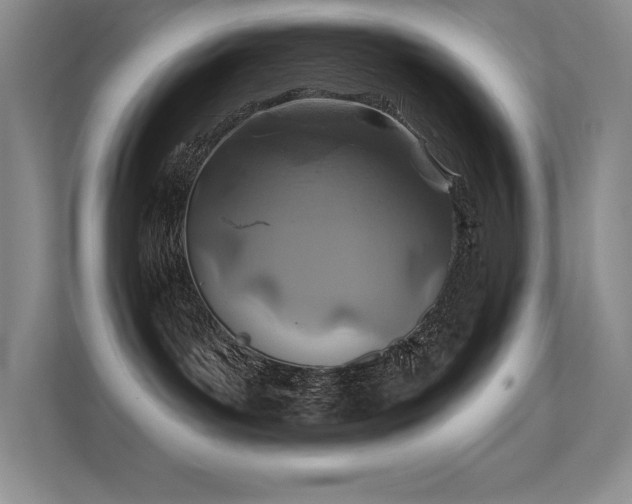 X0000112390143200908131556