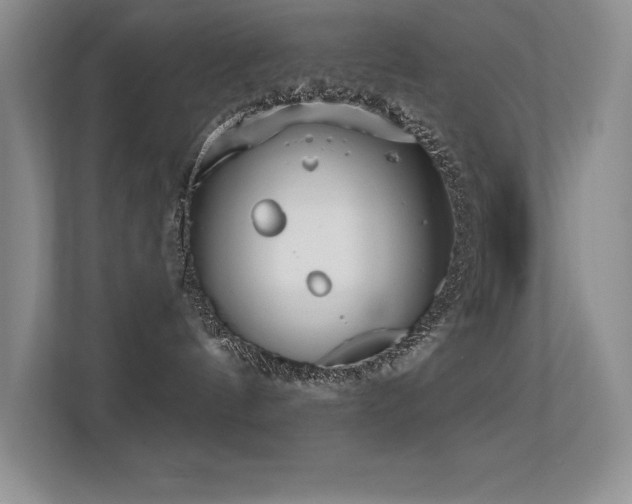 X0000112390144200908131556