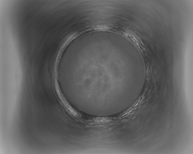 X0000112390145200908131556