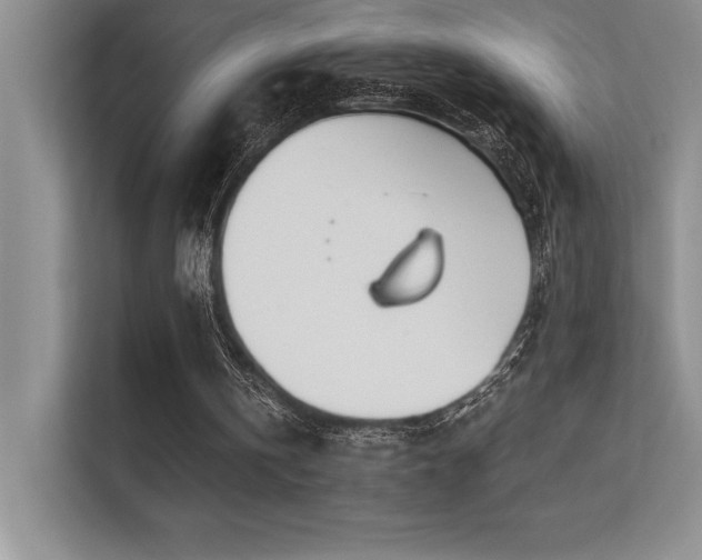 X0000112390146200908131556