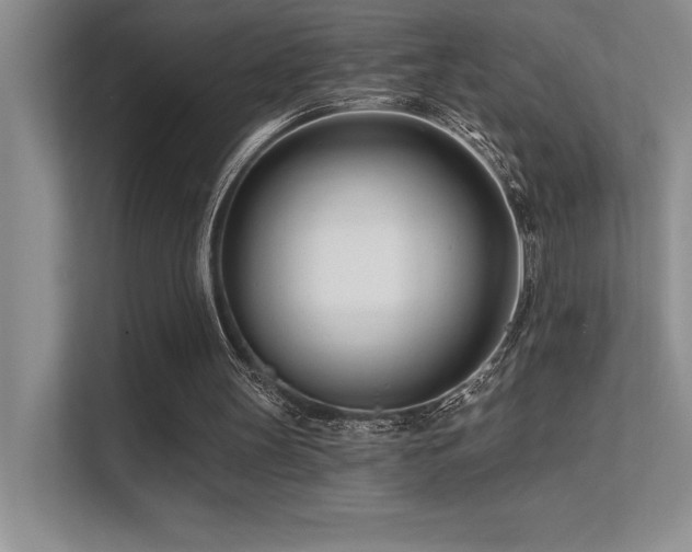 X0000112390147200908131556