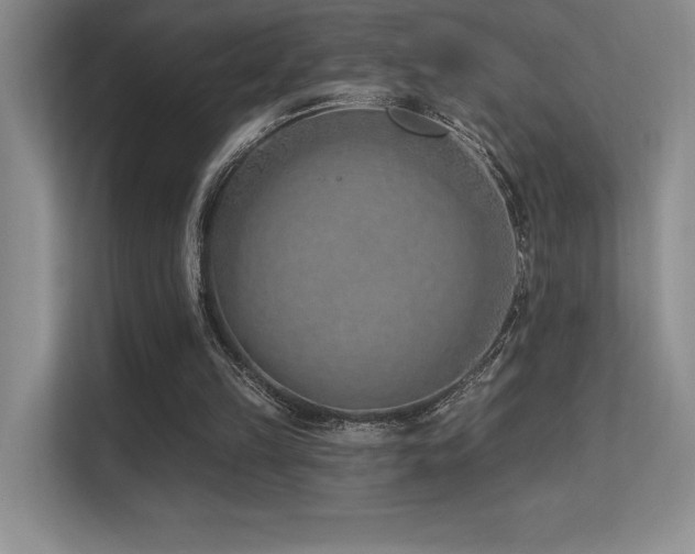 X0000112390149200908131556