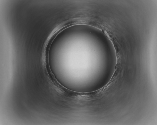 X0000112390150200908131556