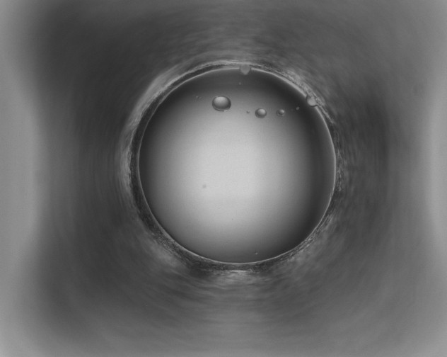 X0000112390151200908131556