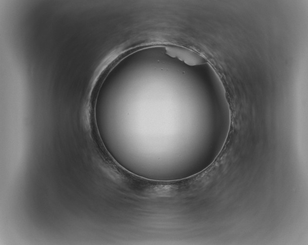 X0000112390152200908131556