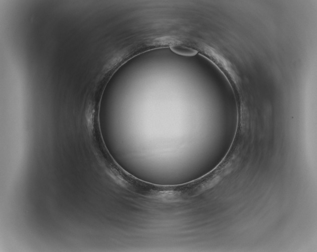 X0000112390153200908131556