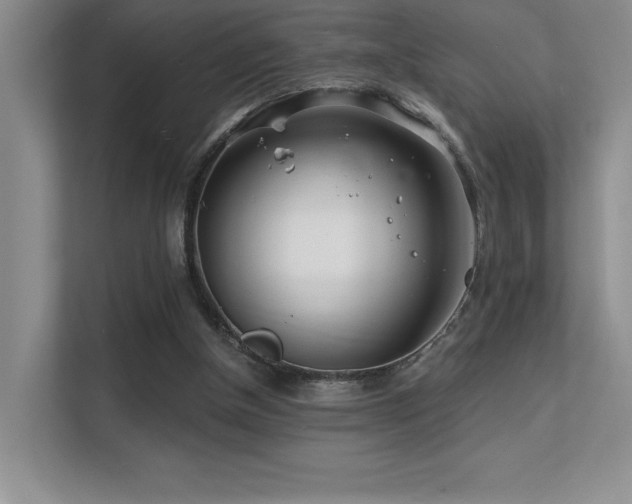 X0000112390154200908131556